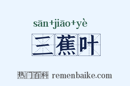 三蕉叶是什么意思的图片